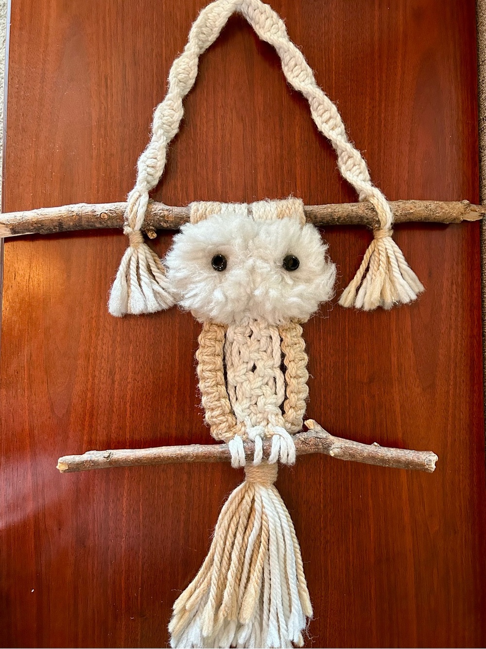 Handcrafted Macrame Owl Wall Hanging